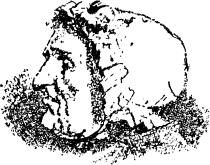 inline image, see preceding text for description